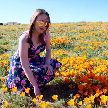 antelope valley california poppy reserve